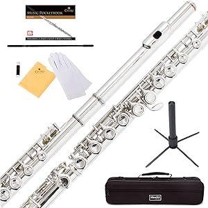 Mendini Closed Hole C Flute with Stand, 1 Year Warranty, Case, Cleaning Rod, Cloth, Joint Grease, and Gloves (Nickel Plated)