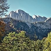 Nikon 55-200 mm/F 4,0-5,6 AF-S DX G ED VR II: Amazon.es: Electrónica