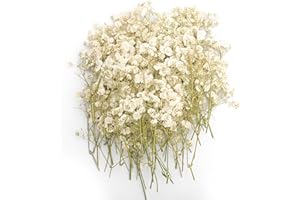 Fumwase 100PCS Dried Babys Breath Flowers Bulk White Babys Breath Real Natural Dried Pressed Flowers for Vase Invitations Wedding Party Home Decor DIY Resin Art Craft (100)