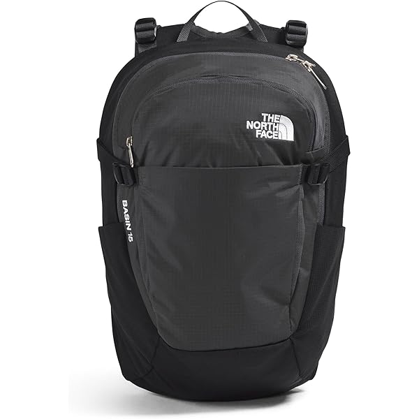 Amazon.com: The North Face Basin 15, OS, Black Currant Purple