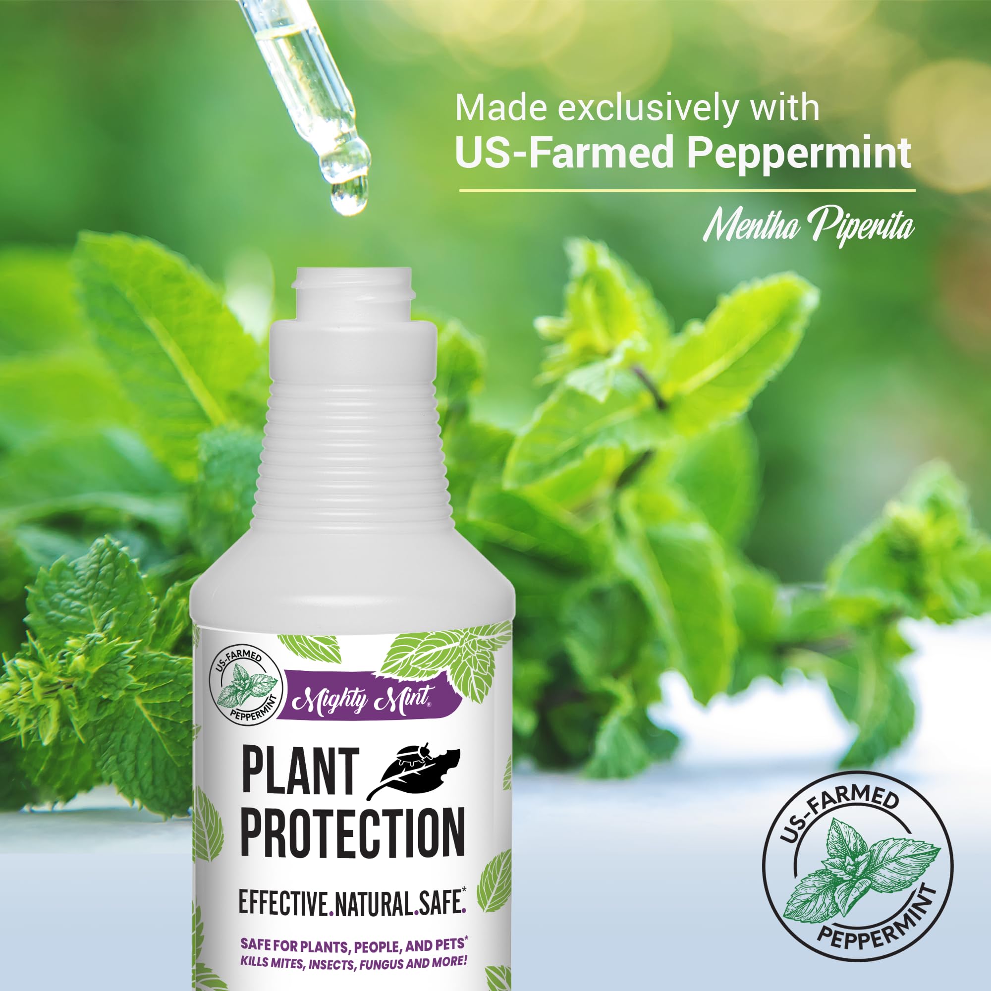 Mighty Mint 32 oz Peppermint Plant Protection Spray Kit for Spider