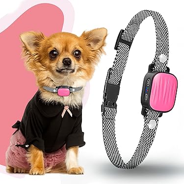 Amazon Best Sellers: Best Bark Collars