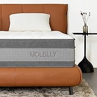 Queen Mattress, MOLBLLY 12 Inch Cooling-Gel Memory Foam and Individually Pocket Innerspring Hybrid Mattress, Queen Bed Mattre