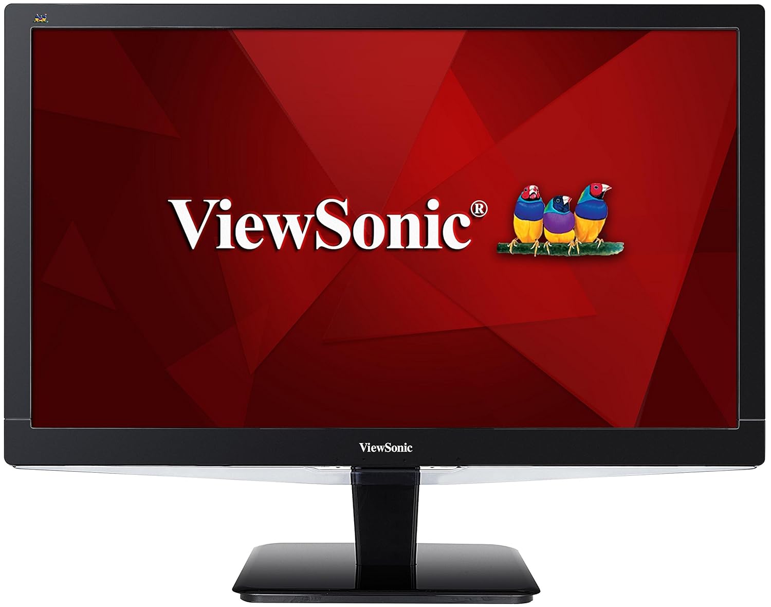 BEST 60 HERTZ 4K MONITORS 2019 The World's Best PC Builder