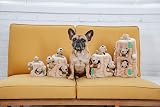 Outward Hound Squirrel Dog Toy Plush Hide and Seek Medium view 9