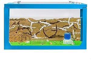 AntHouse - 3D Sand Ant Hill | Sky Blue Starter Kit 7.87 x 3.94 x 3.94 in | Ant Farm