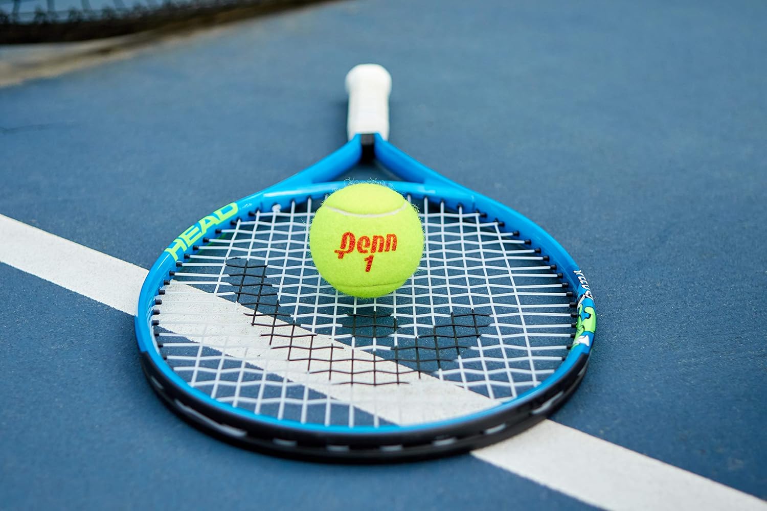 Penn Championship Tennis Balls - Regular Duty Felt Pressurized Tennis Balls - 12 Cans, 36 Balls : Sports & Outdoors