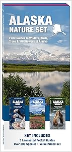 kindle best category lists