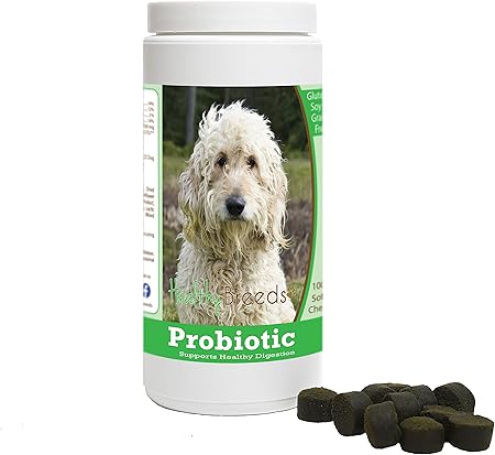 do goldendoodles chew