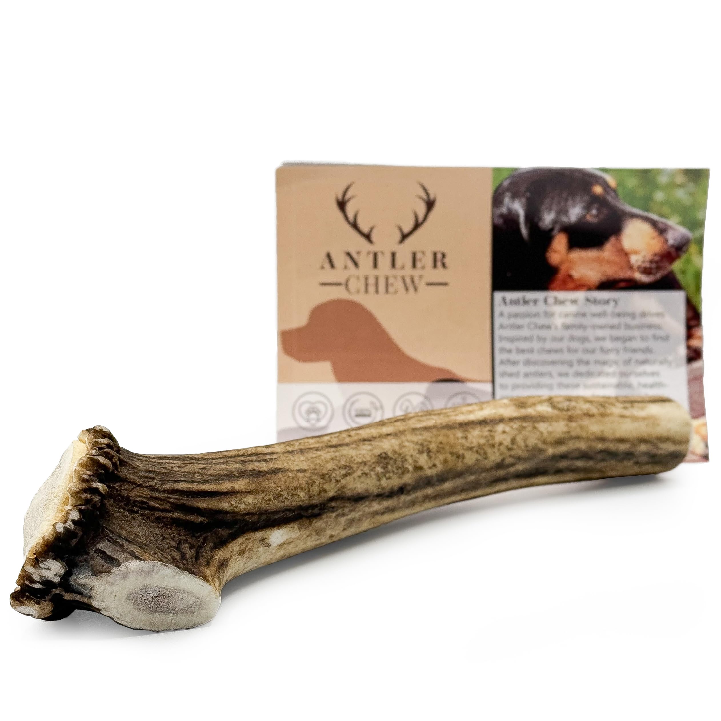 Antler Dog Chews by Antler Chew – Extra Large (250–350g, From 15cm) | Naturally Shed & Sanded | Long-Lasting, Odourless Chew for Large Breeds | Supports Dental Health