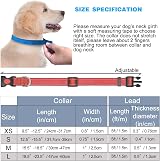 haapaw Reflective Dog Collar with Neoprene Padding Adjustable Nylon view 7