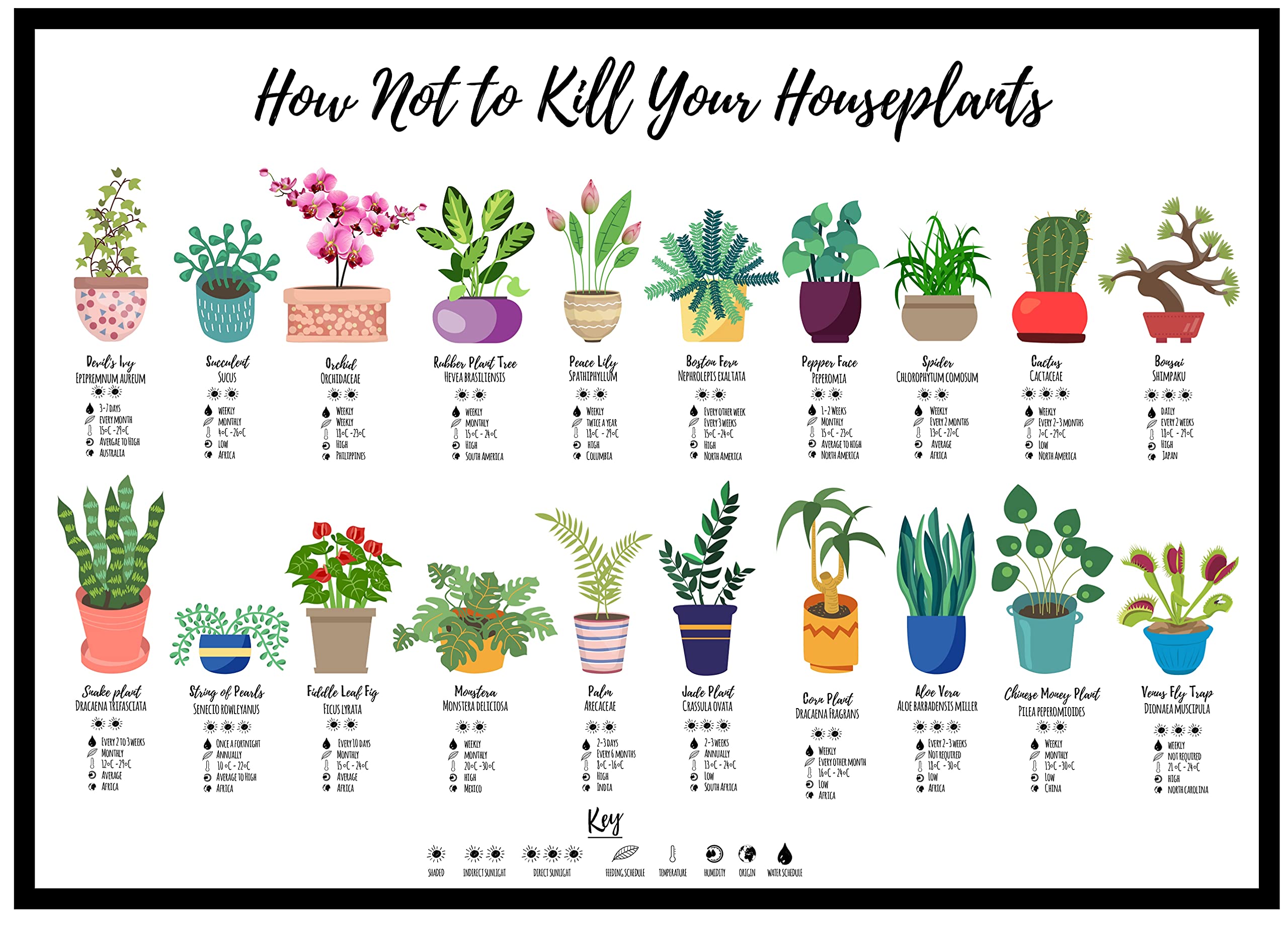 Hewson's Gifts How Not To Kill Your Houseplants Poster - Print for Home Gift For Nature Plant Lover Wildlife Poster (A3 Unframed)