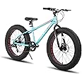 HILAND 24 26 Inch Fat Tire Mountain Bike for Men and Women, High Carbon Steel Frame Beach and Snow Wide Tire Adult Bicycle, 7-Speed and Dual-Disc Brake MTB