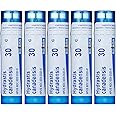 Boiron Hydratis Canadensis 30C, 5-Pack of of 80 Pellet Tubes, Homeopathic Medicine for Postnasal drip