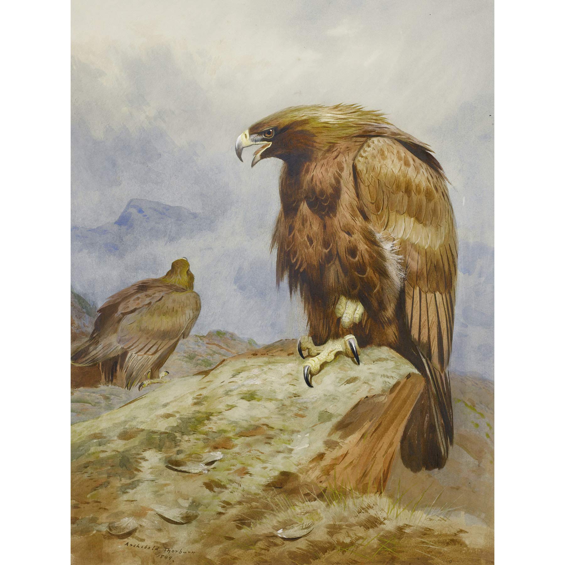 Artery8 Thorburn Pair Golden Eagles Bird Prey Painting Large Wall Art Poster Print Thick Paper 18X24 Inch