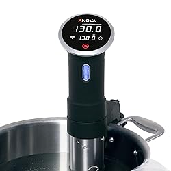 Anova Culinary Sous Vide Precision Cooker | WiFi