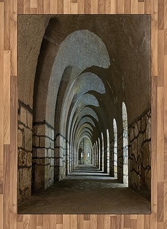 Amazon.com: Antiguo área alfombra por Ambesonne, pasillo en ...