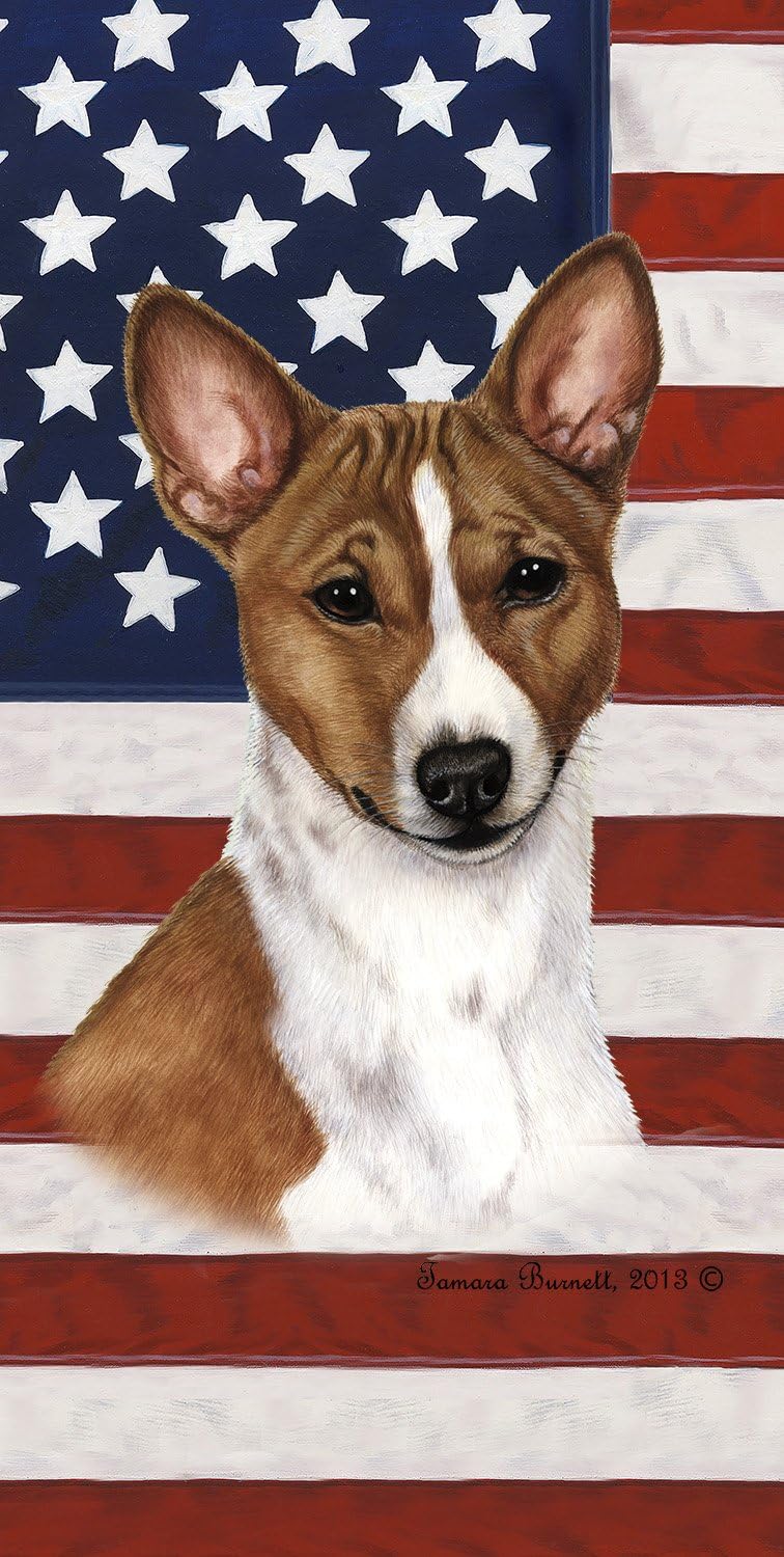 red and white basenji