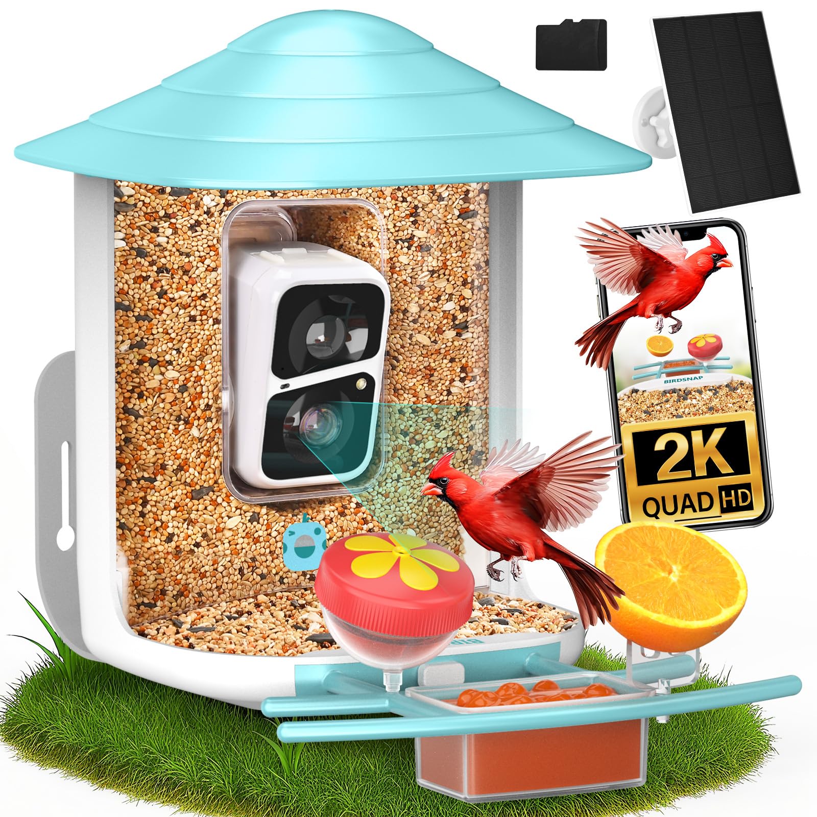 birdsnap® TUC Bird Feeder with Camera 2K HD, Solar Panel 32GB Card 4-in-1 Perch, 160°View Auto Detect & Notify AI Identify Video Bird Camera Wireless Outdoors Ideal Gift for Birds Lover Image
