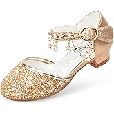 Stelle Girls Mary Jane Dress Shoes Low Heel Glitter Patent Bow Kids Party Wedding Flower Girl School Shoes(Toddler/Little/Big Kid)