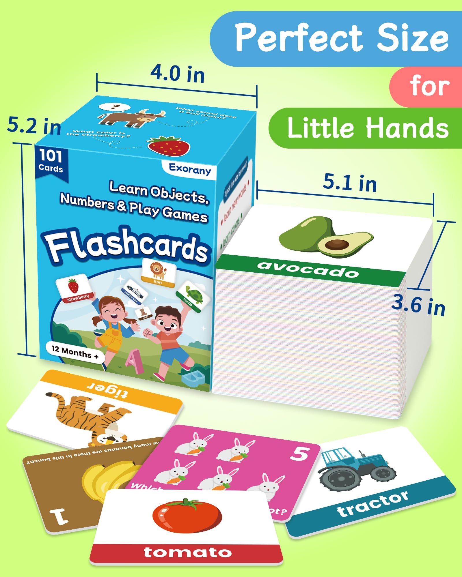 Mua Exorany 101 Toddler Flash Cards - Objects, Numbers & Games