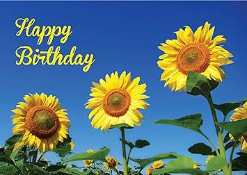 Amazon.com : Sunflower Birthday. The message inside the card reads