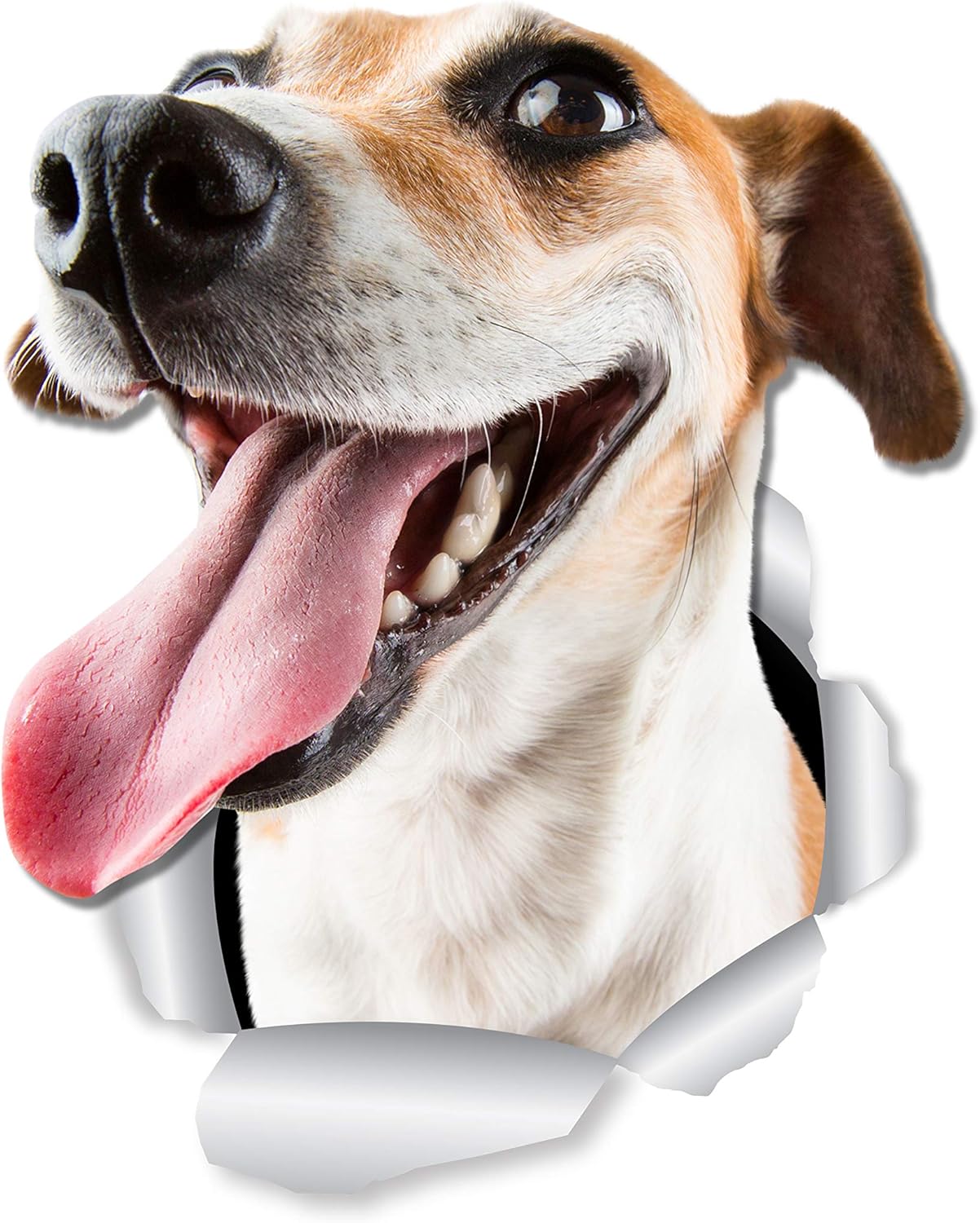 Amazon Winston Bear ハッピージャック ラッセル ドッグ ウォールデカール 2パック ジャック ラッセル ドッグ トイレステッカー 3d犬のカーウィンドウとバンパーステッカー 小売パッケージ ジャック ラッセル 愛好家へのギフト ウォールステッカー