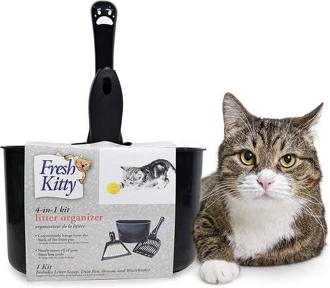 dollar store kitty litter