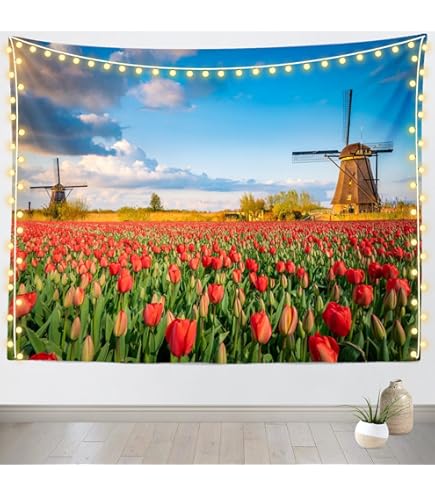 Amazon.com: Dutch Wooden Shoes with Windmill Scene, Mini Wooden