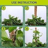 Yizerel Bendable Moss Pole 25 Inch 2 Pack for Monstera Creepers Plant Support view 6
