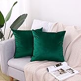 Hibate 2 Pack Soft Velvet Couch Throw Pillow Covers 20x20 Inch for Sofa Living Room Bedroom (Emerald Green)