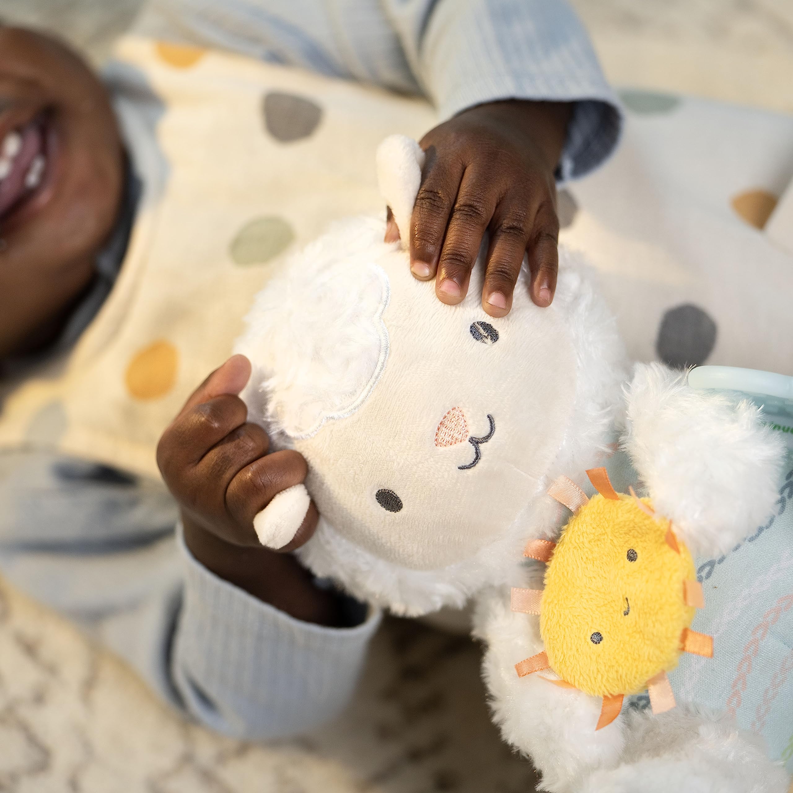 Ingenuity Calm Springs Plush Activity Pal BPA-Free Cloud Teether, Multi-Texture Fabrics, Sheppy