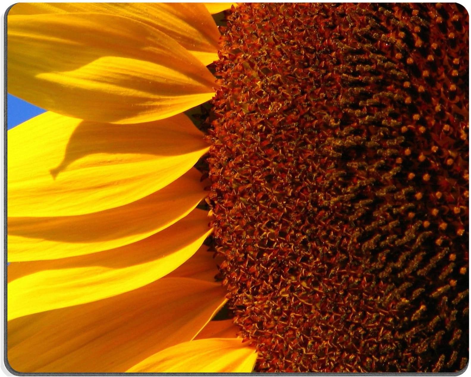 Large Sunflower Shot yellow petals flower seeds blue sky Mouse Pads Customized Made to Order Support Ready 9 7/8 Inch (250mm) X 7 7/8 Inch (200mm) X 1/16 Inch (2mm) Eco Friendly Cloth with Neoprene Rubber Liil Mouse Pad Desktop Mousepad Laptop Mousepads Comfortable Computer Mouse Mat Cute Gaming Mouse_pad