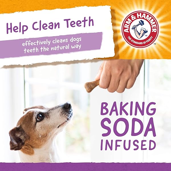 ARM & HAMMER FOR PETS NUBBIES DENTAL TREATS – BAKING SODA & CALCIUM DOG DENTAL CHEWS, NUBBED TEXTURE HELPS SCRUB PLAQUE & TARTAR WHILE CHEWING, PEANUT BUTTER FLAVOR, 20 COUNT, 7 OUNCE