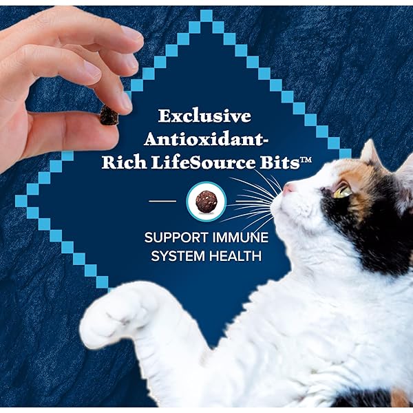 BLUE BUFFALO WILDERNESS NATURAL HIGH PROTEIN, GRAIN FREE DRY FOOD FOR ADULT CATS, SALMON, 11-LB BAG