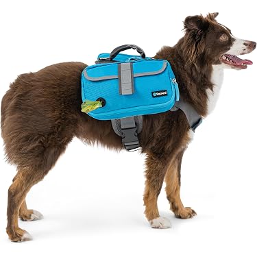Amazon Best Sellers: Best Dog Backpacks