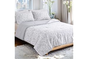 UDEAL Queen Comforter Set 3 Pieces，Light Grey Paisley Comforter for Queen Size Bed，All Season Warm and Soft Bedding Set with 
