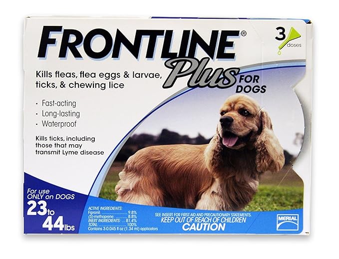 dinovite reviews 2018