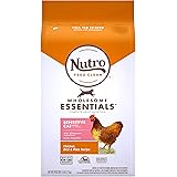 Nutro Wholesome Essentials Indoor and Sensitive Digestion Dry Cat Food, Chicken