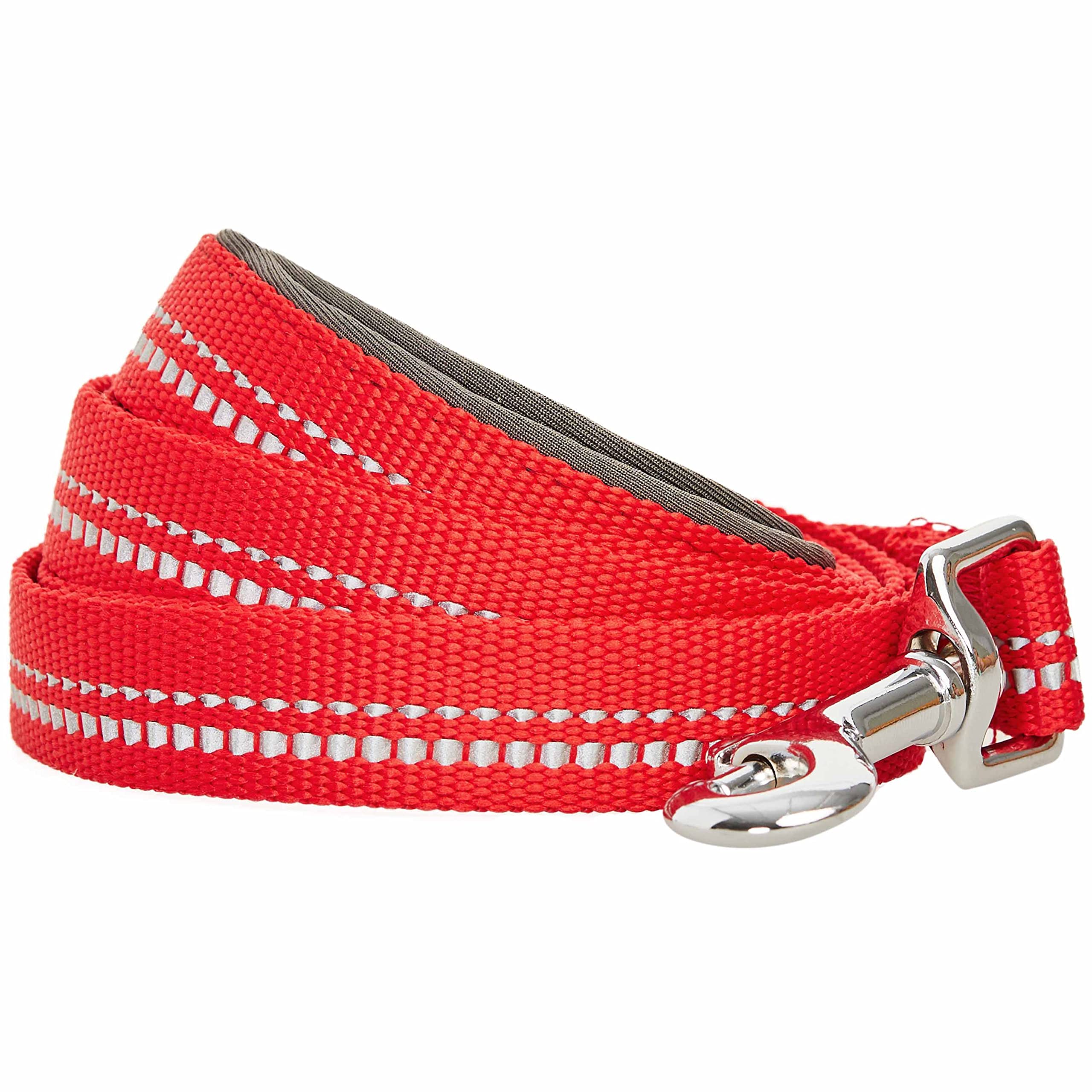 Blueberry Pet 3M Reflective Pastel Color Dog Leash with Soft & Comfortable Handle, 150 cm x 2cm, Red, Medium, Leashes for Dogs
