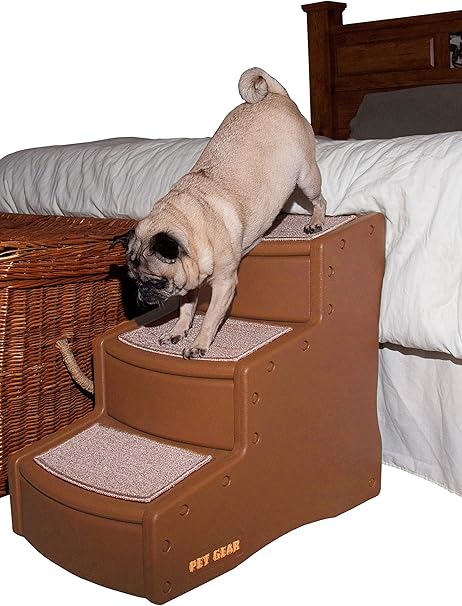 rodriguez mobile pet grooming