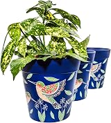 Hum Flowerpots 22cm Set of 3 Blue Hummingbird Indoor Outdoor Plastic Pots view 5