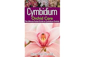 Cymbidium Orchid Care: The Ultimate Pocket Guide to Cymbidium Orchids