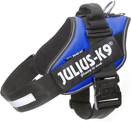 colloidal silver shampoo for dogs