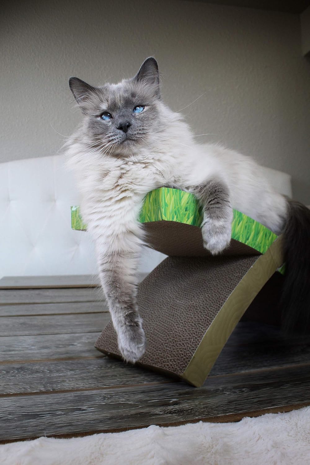 Petstages Easy Life Hammock Cat Scratcher, Tan : Pet Supplies