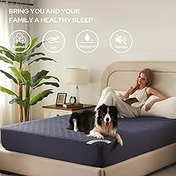 2 Pack Waterproof Mattress Protector, Full Size