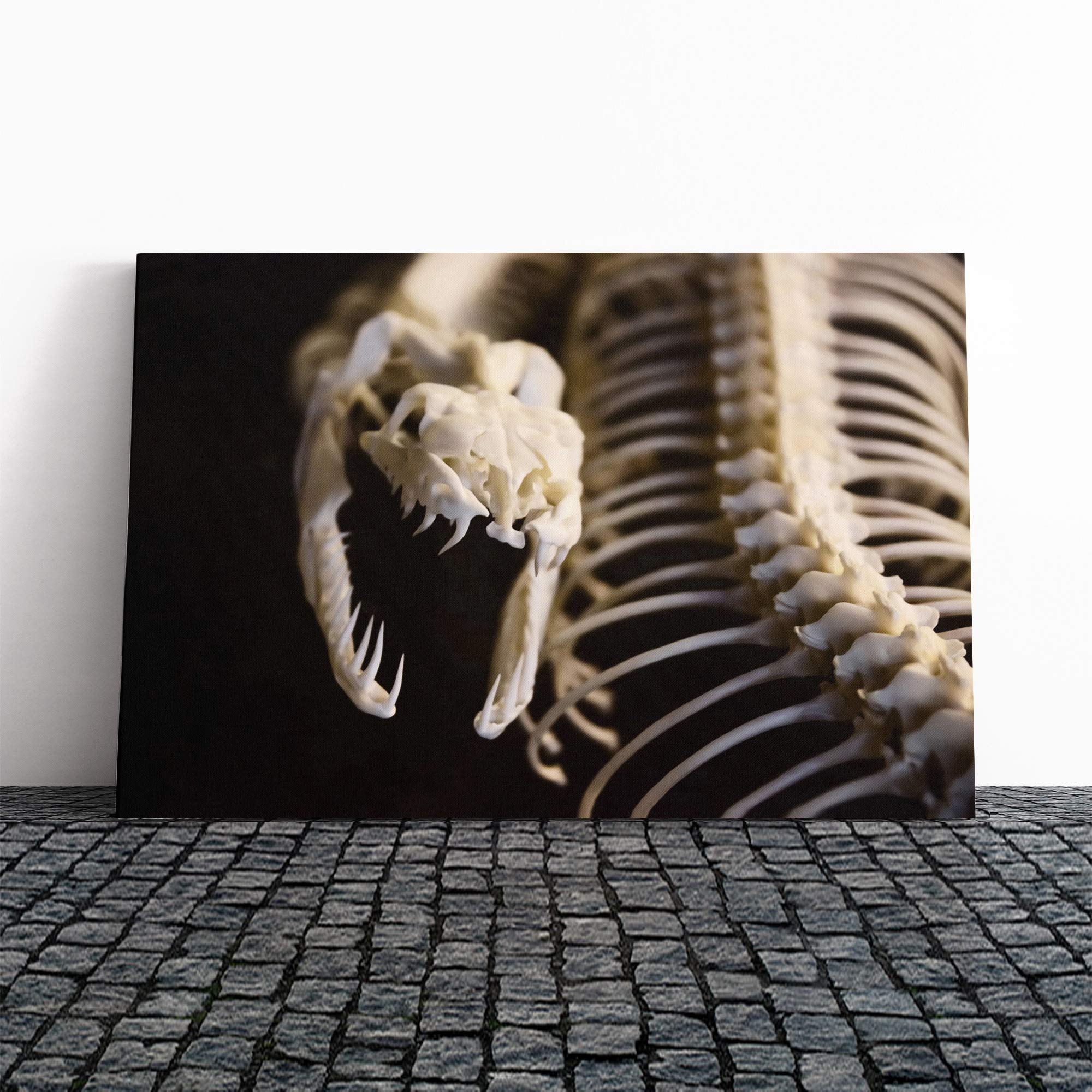 Snake Skeleton Canvas Print | Gallery Wrapped 30mm Frame Wall Art | 20x14 inches | Ready to Hang | Modern Animals Picture | Living Room Bedroom Lounge Office