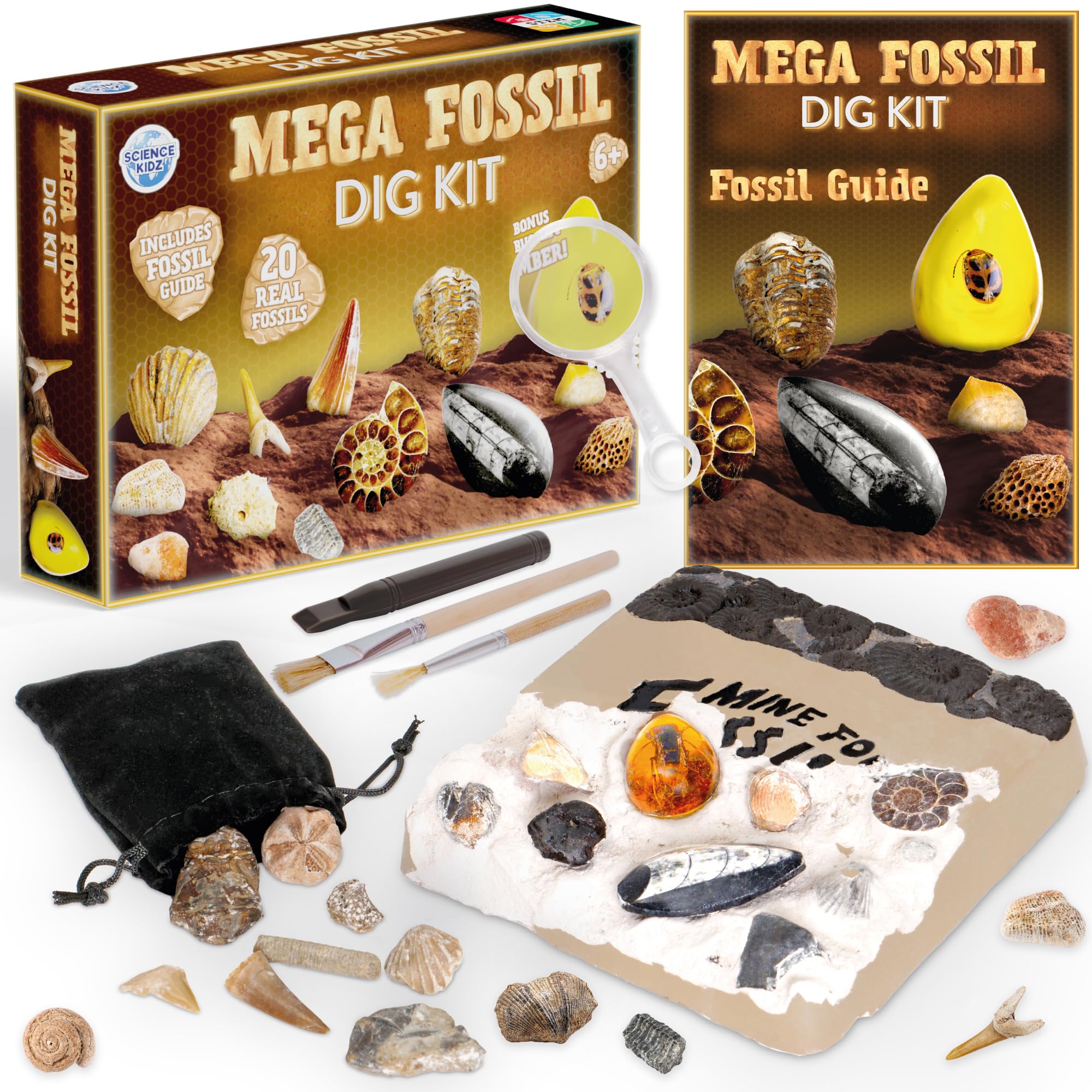 Science Kidz Mega Fossil Dig Kit - Excavate 20 Genuine Prehistoric Fossils, Fossil Hunting Kit For Kids, Educational STEM Science Kits, Fossil Digging & Excavation Toy