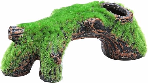 Amazon ジェックス 小さな和の庭 苔流木 M ジェックス 木 通販