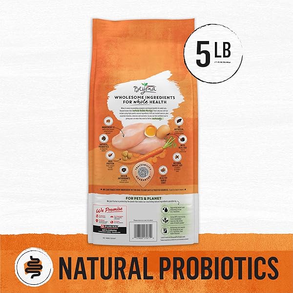 PURINA BEYOND GRAIN FREE WHITE MEAT CHICKEN AND EGG RECIPE NATURAL CAT FOOD HIGH PROTEIN CAT FOOD DRY FORMULA – 5 LB. BAG